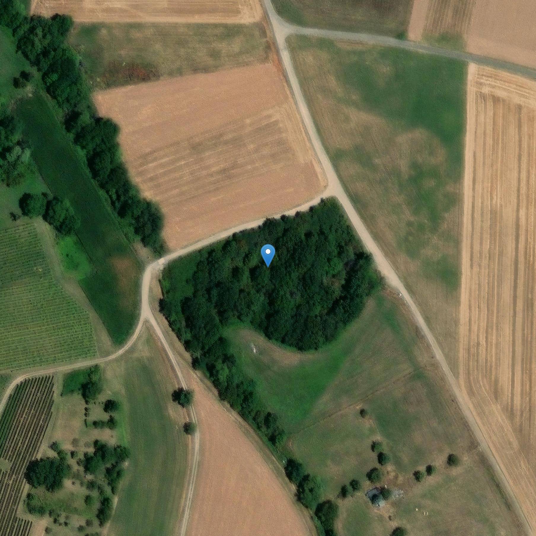 Photo de Motte Saint-Georges-d'Alschwiller