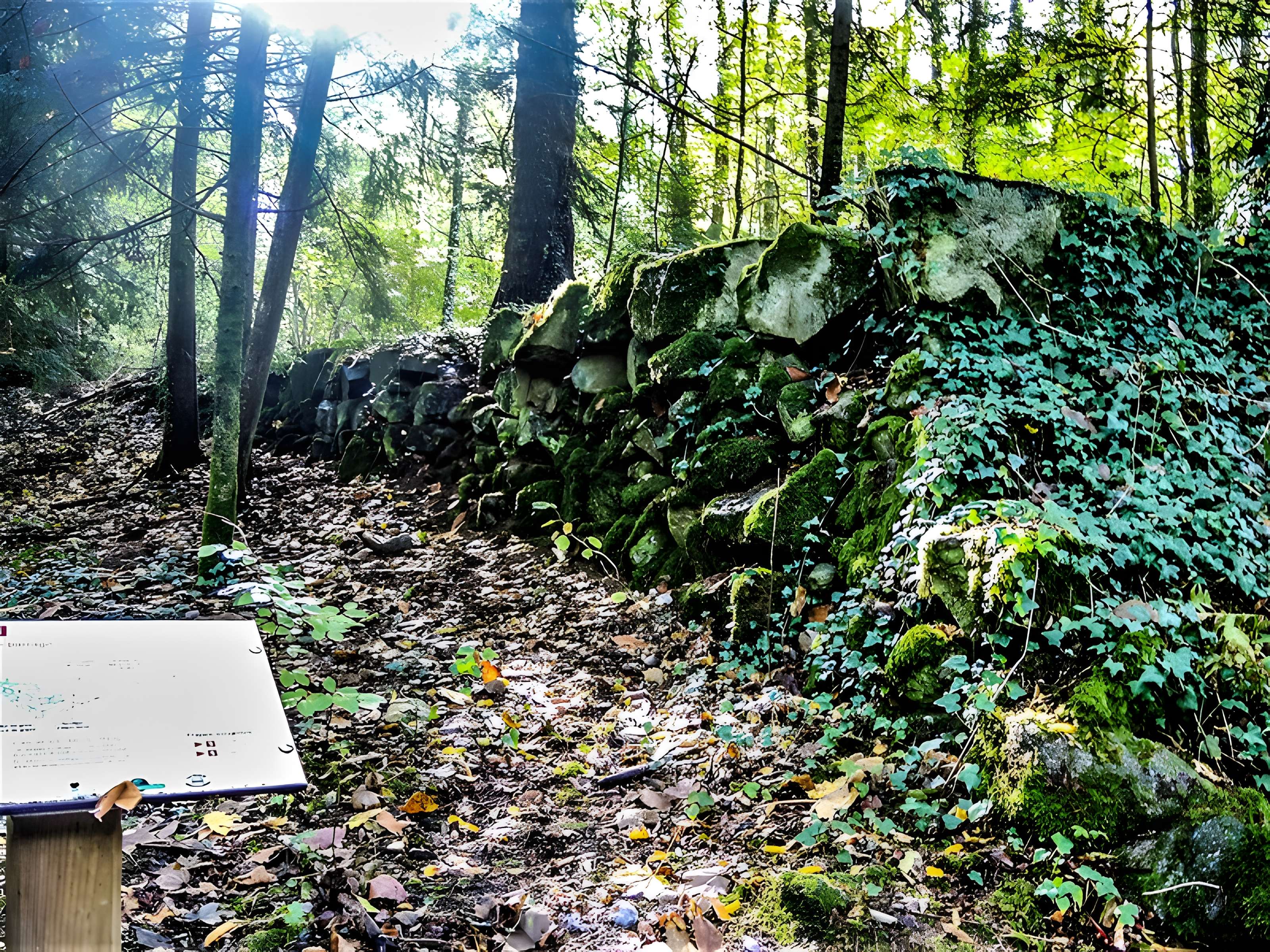 Ancien couvent de Schwartzenthann