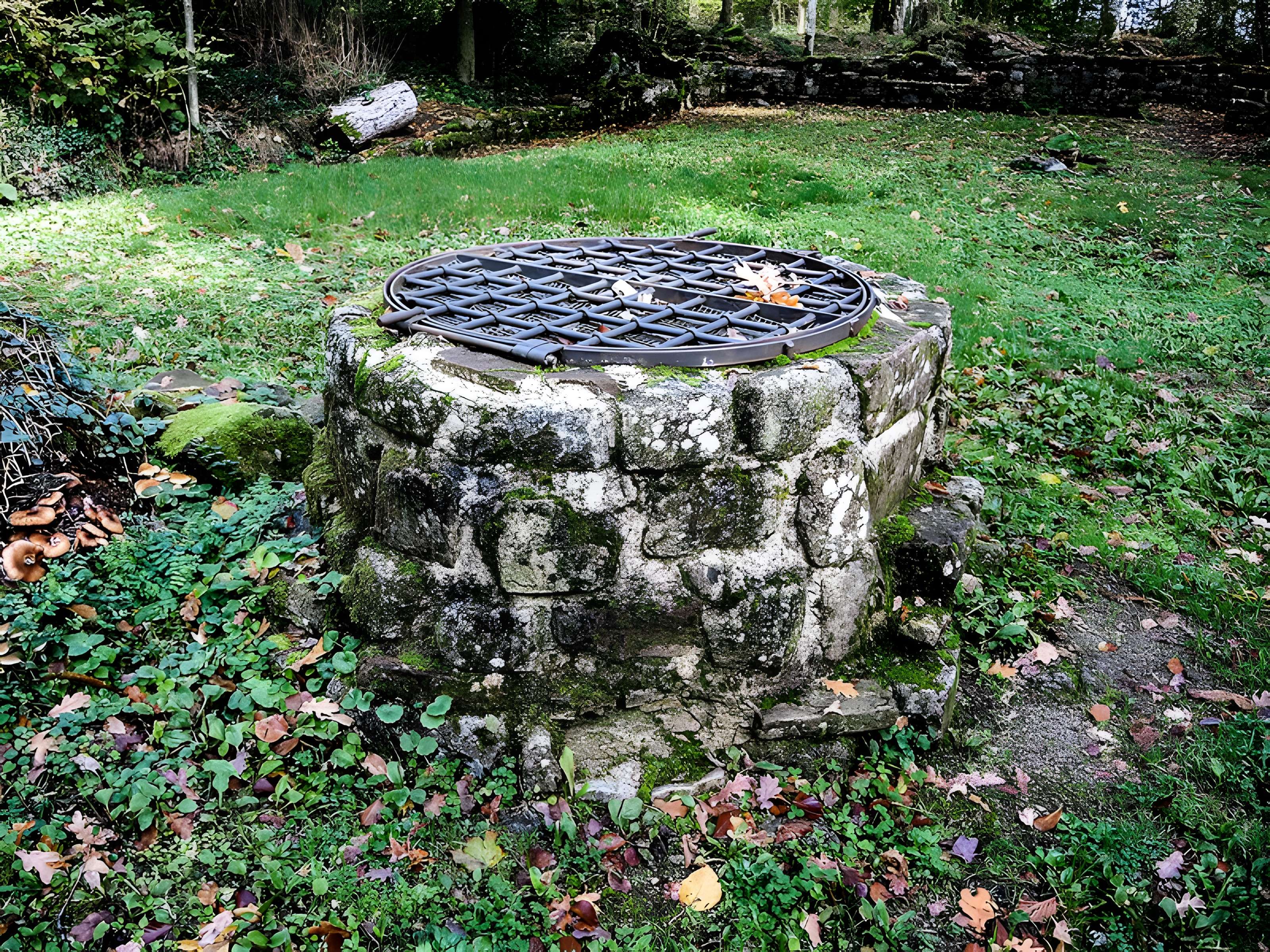 Ancien couvent de Schwartzenthann