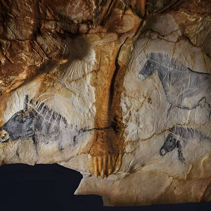 Photo de Grottes Cosquer, de la Triperie, du Figuier, du Renard