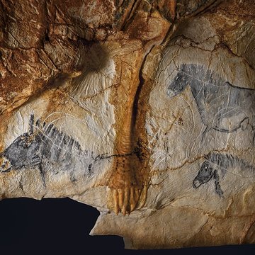 Grottes Cosquer, de la Triperie, du Figuier, du Renard