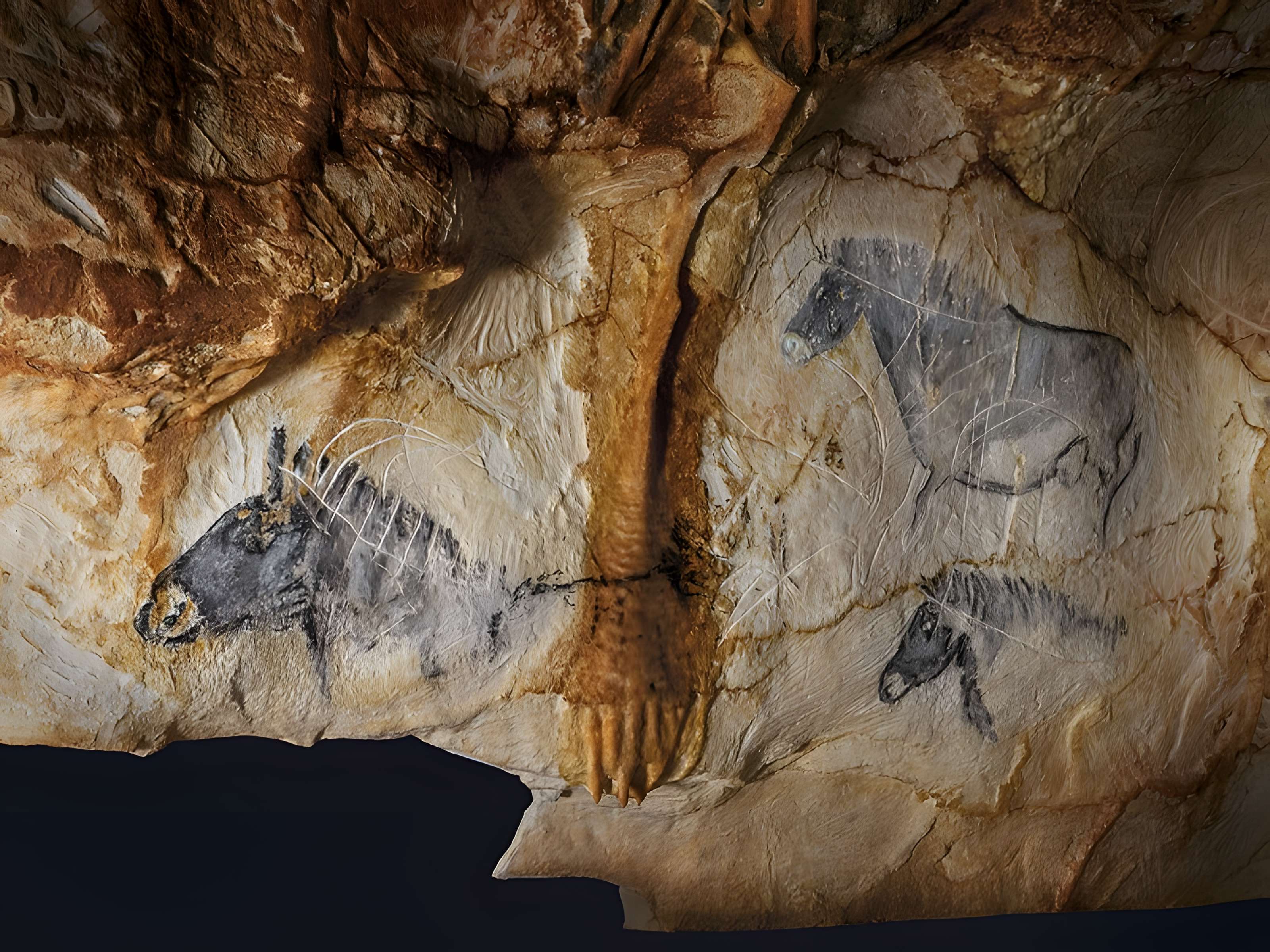 Grottes Cosquer, de la Triperie, du Figuier, du Renard