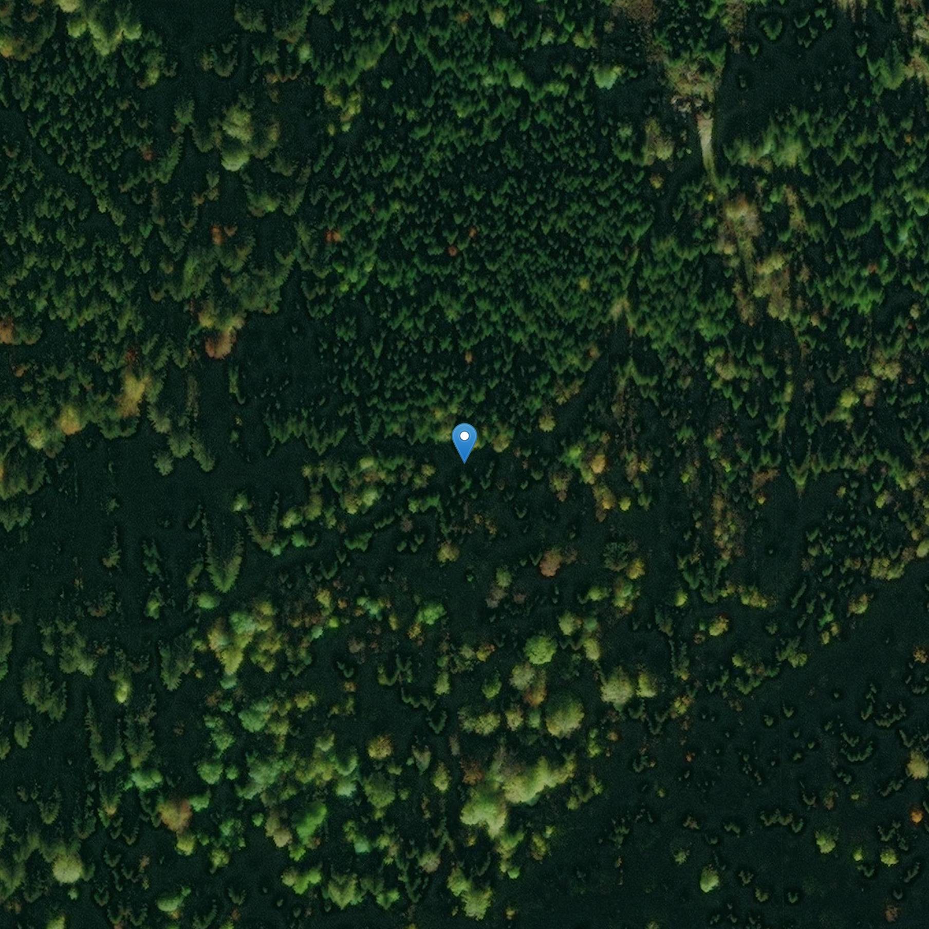 Photo de ガスチュニーアルパイン救急車2/75または306