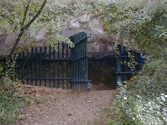 Photo de Grotte de Cussac au Buisson-de-Cadouin