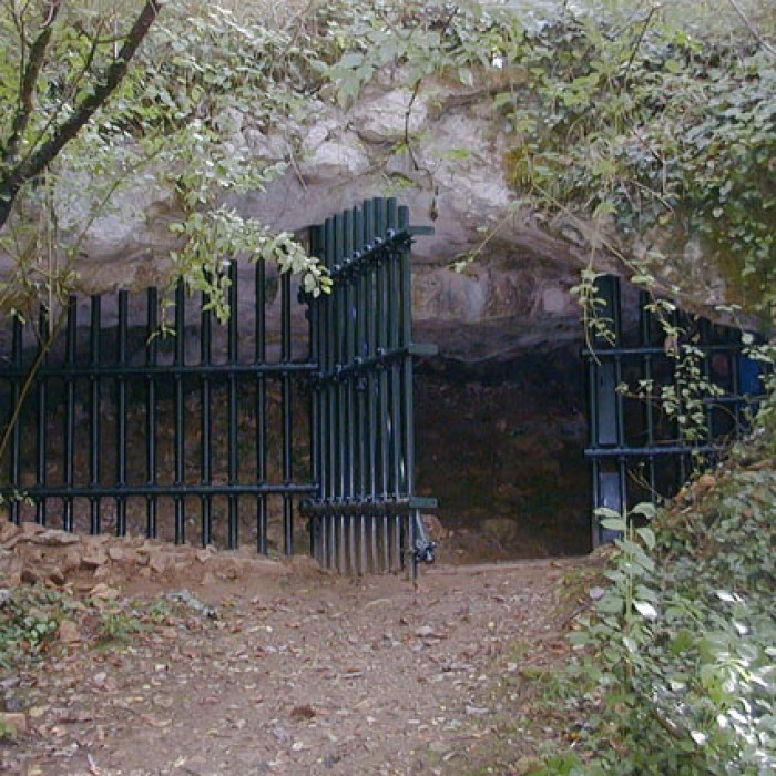 Photo de Grotte de Cussac au Buisson-de-Cadouin