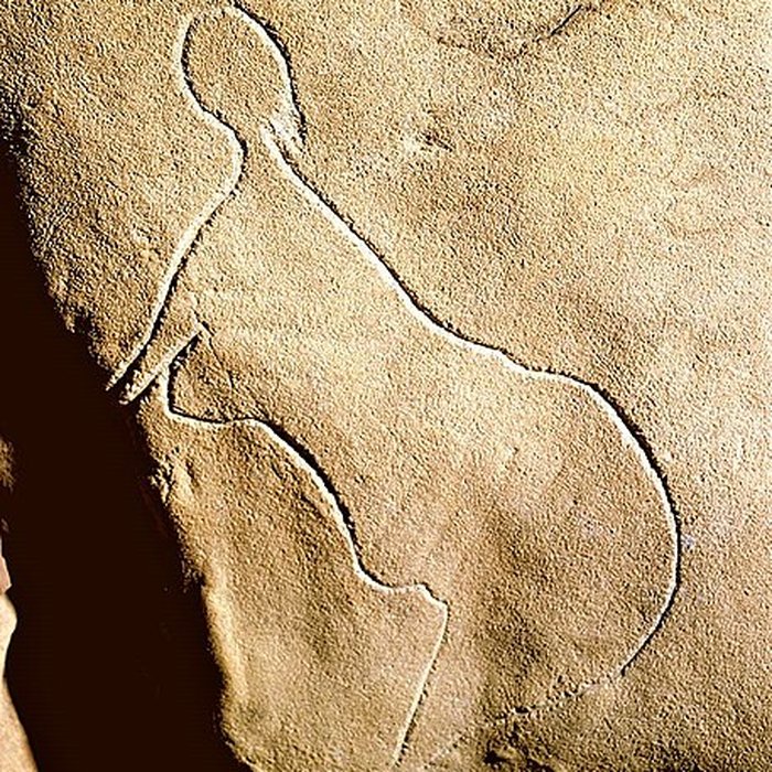 Photo de Grotte de Cussac au Buisson-de-Cadouin
