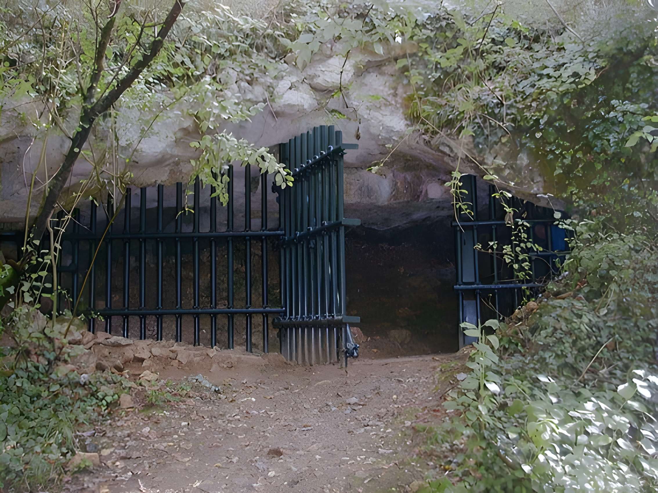 Grotte de Cussac au Buisson-de-Cadouin 
