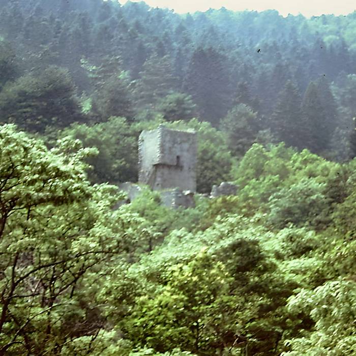 Photo de Ruinas del Castillo de La Hayneck