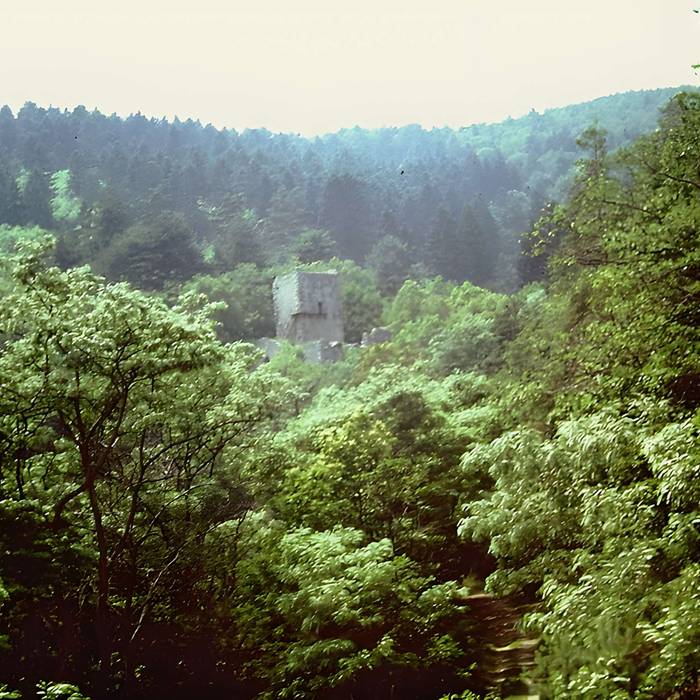 Photo de Ruinas del Castillo de La Hayneck