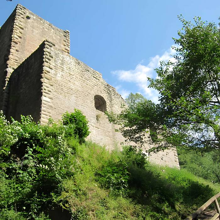 Photo de Ruinas del Castillo de La Hayneck