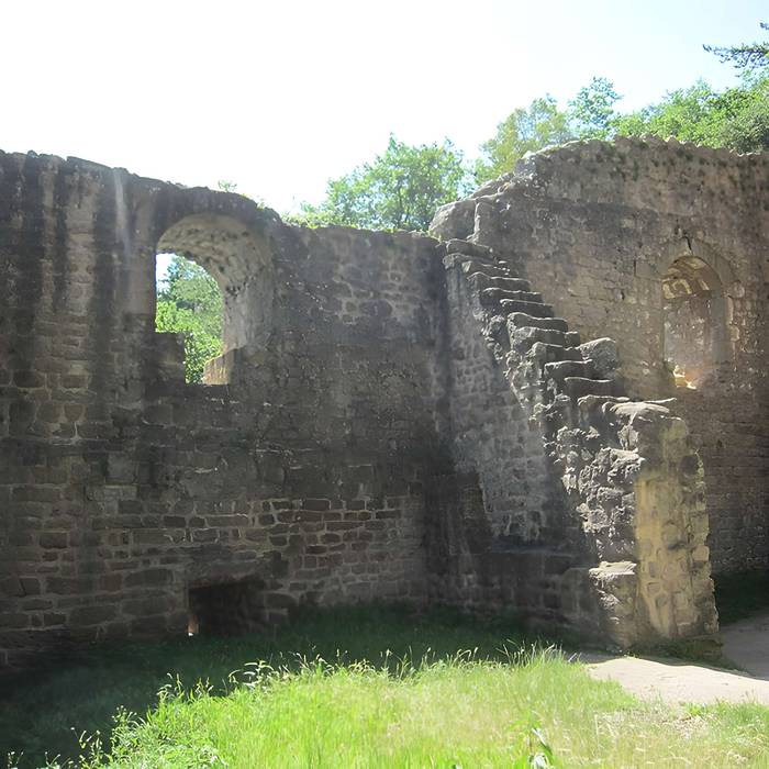 Photo de Ruinas del Castillo de La Hayneck