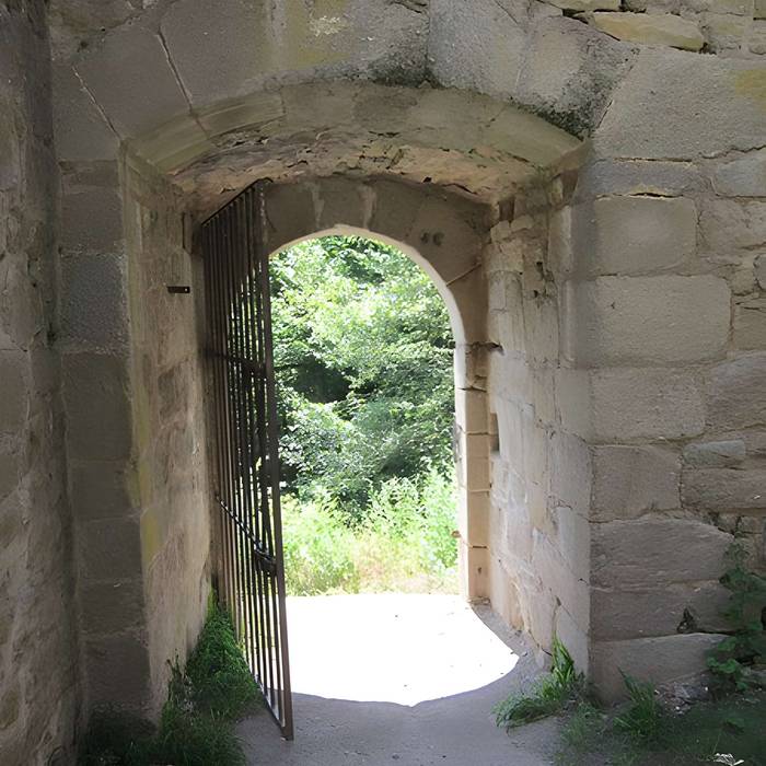 Photo de Ruinas del Castillo de La Hayneck
