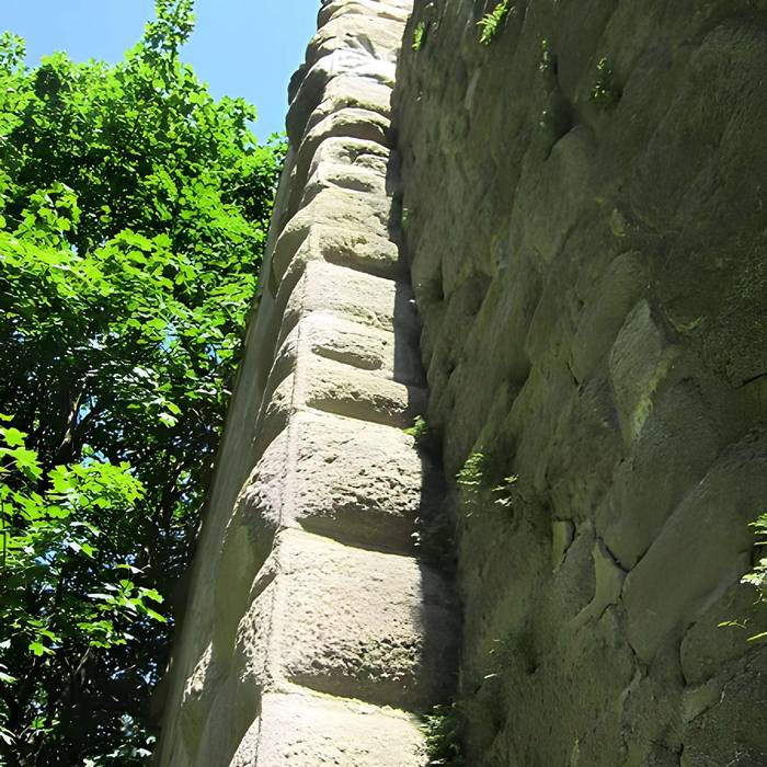 Photo de Ruinas del Castillo de La Hayneck