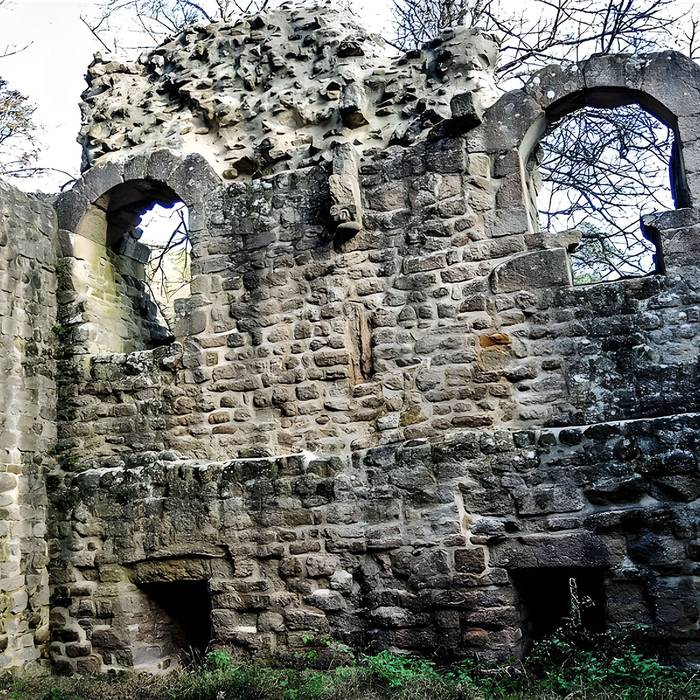 Photo de Ruinas del Castillo de La Hayneck
