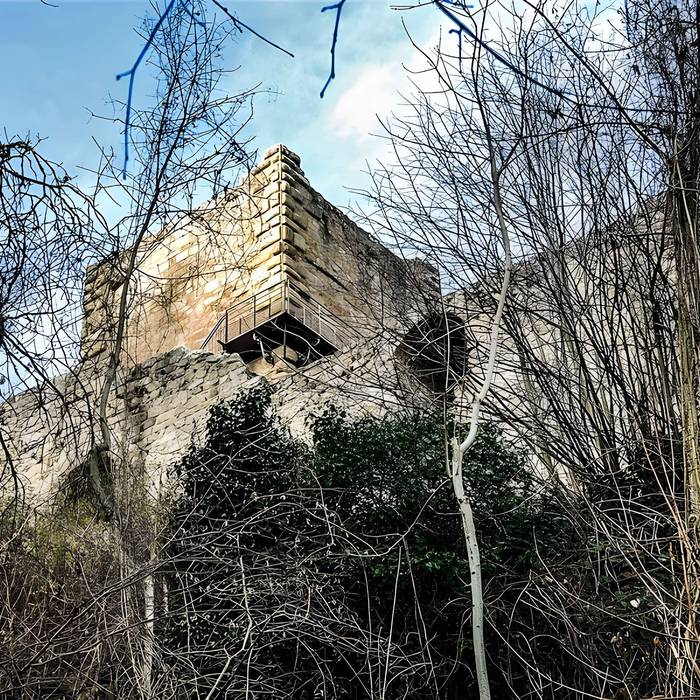 Photo de Ruinas del Castillo de La Hayneck
