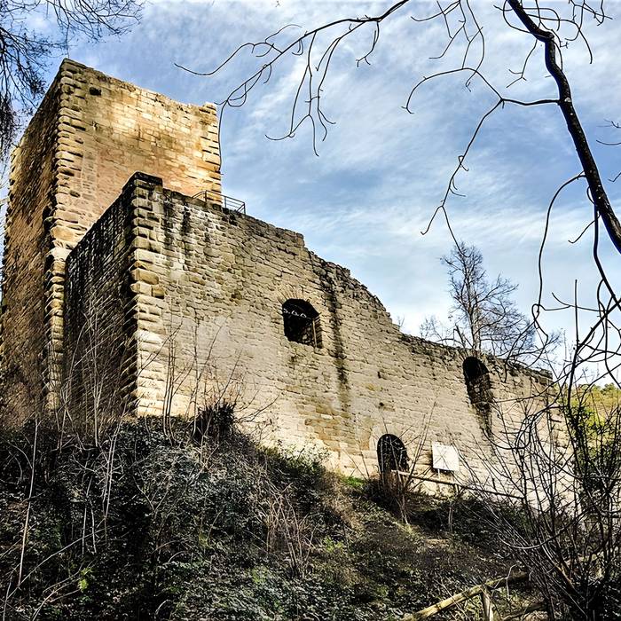 Photo de Ruinas del Castillo de La Hayneck