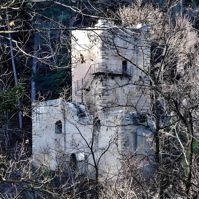 Photo de Ruinas del Castillo de La Hayneck