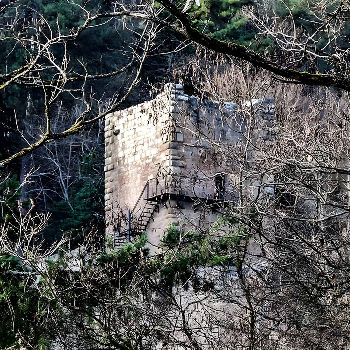 Photo de Ruinas del Castillo de La Hayneck