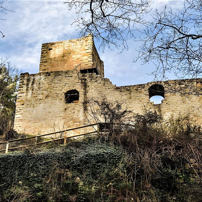 Photo de Ruinas del Castillo de La Hayneck