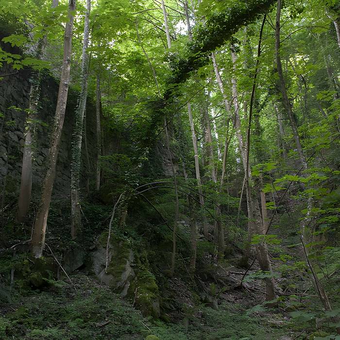Photo de Ruinas del Castillo de La Hayneck