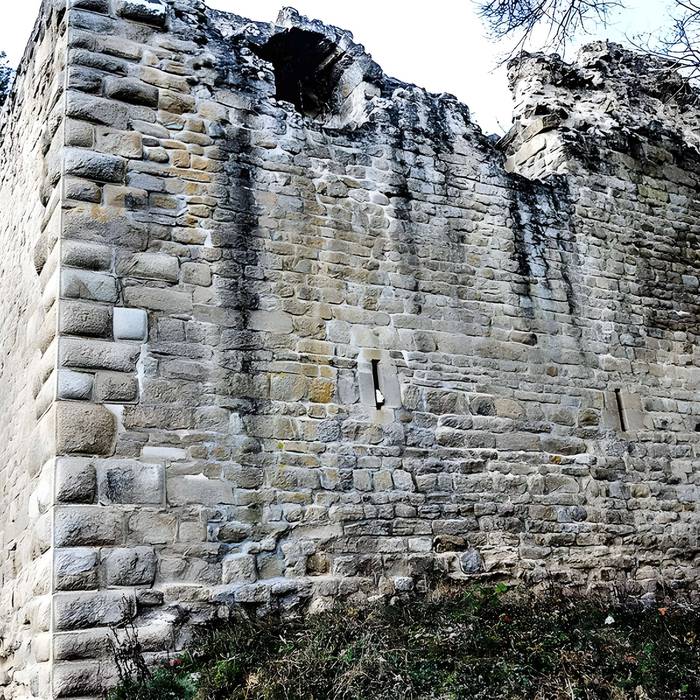 Photo de Ruinas del Castillo de La Hayneck