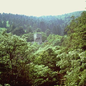 Ruines du château de Hagueneck