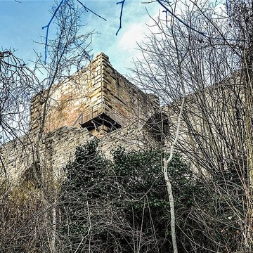 Ruines du château de Hagueneck