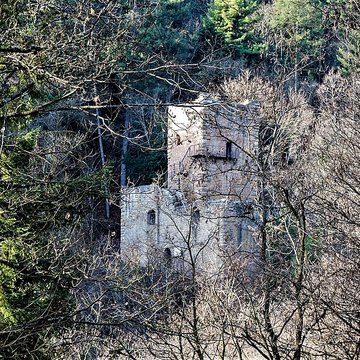 Ruines du château de Hagueneck