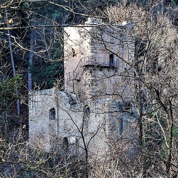 Ruines du château de Hagueneck
