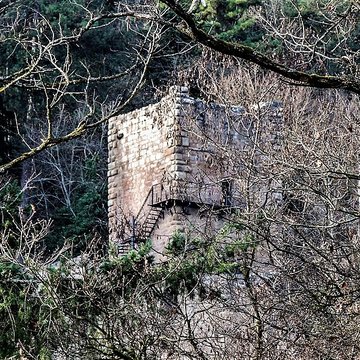 Ruines du château de Hagueneck