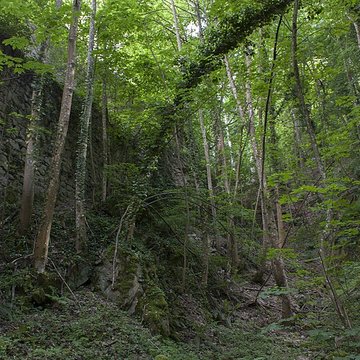 Ruines du château de Hagueneck