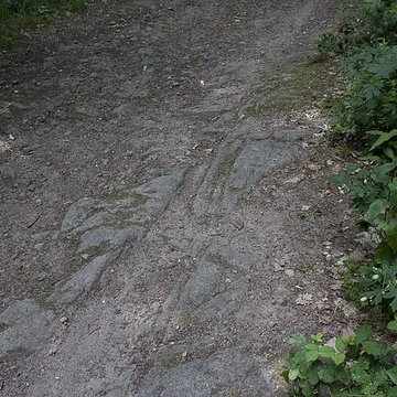 Ruines du château de Hagueneck
