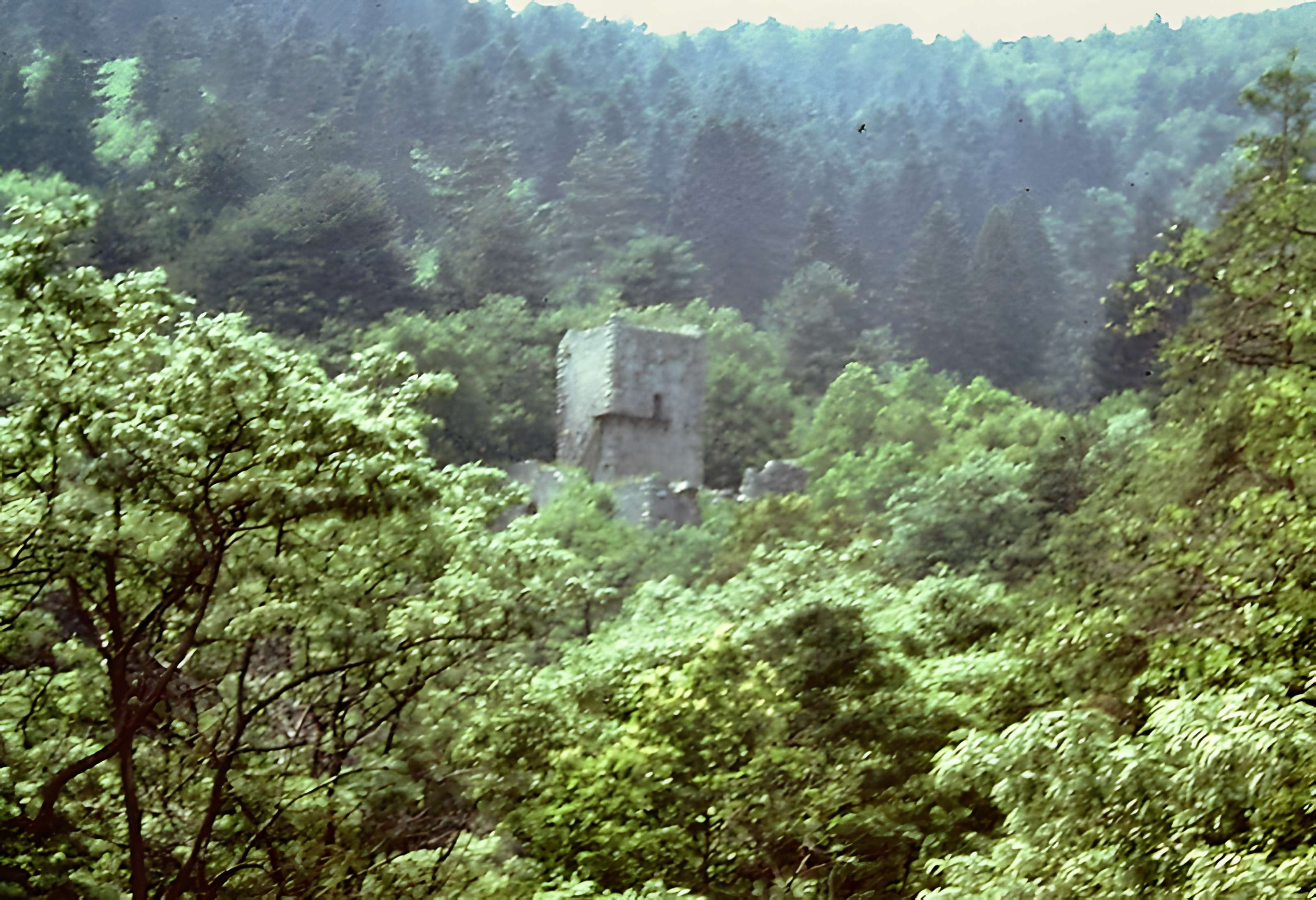 Ruines du château de Hagueneck