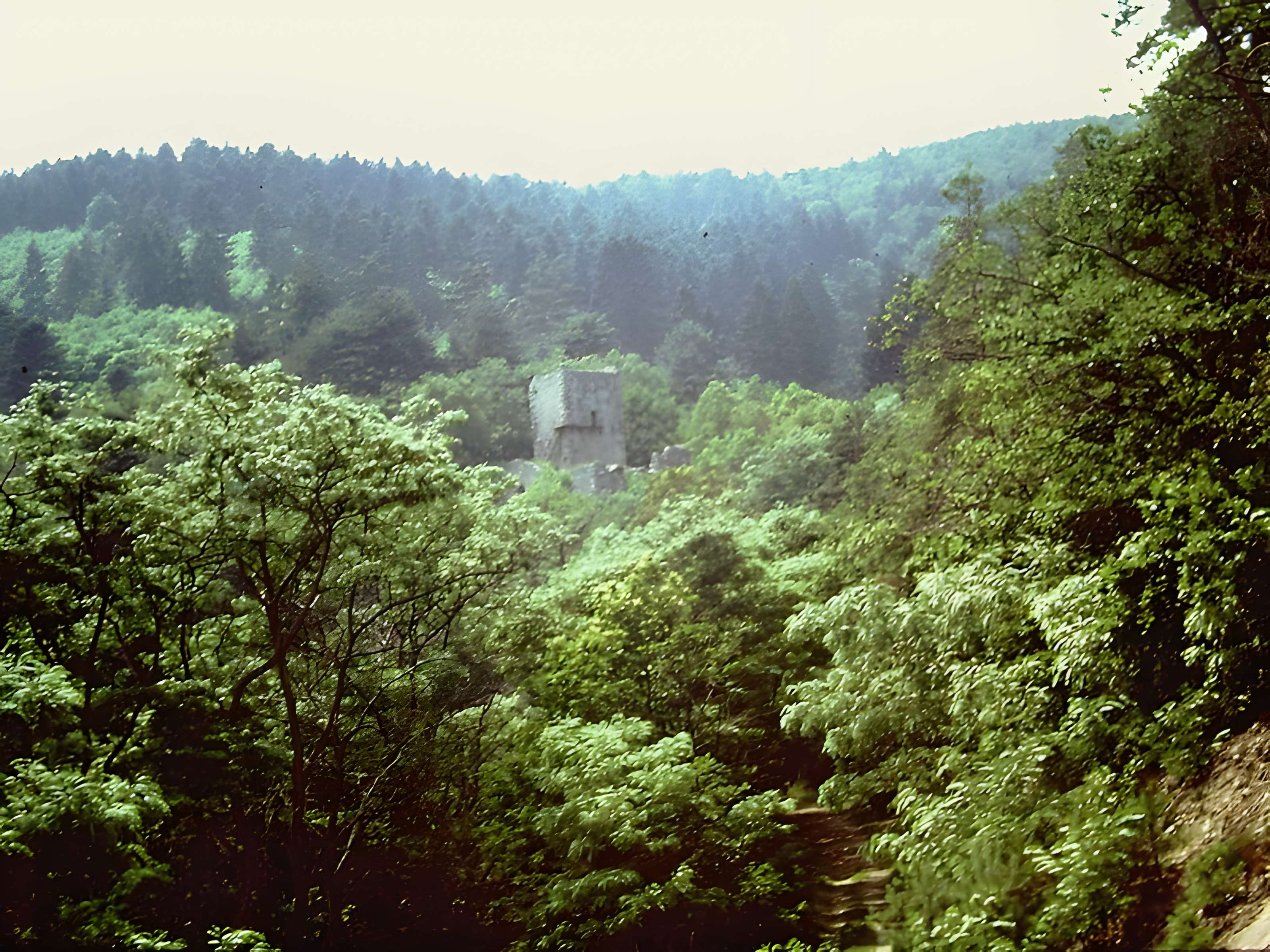 Ruines du château de Hagueneck