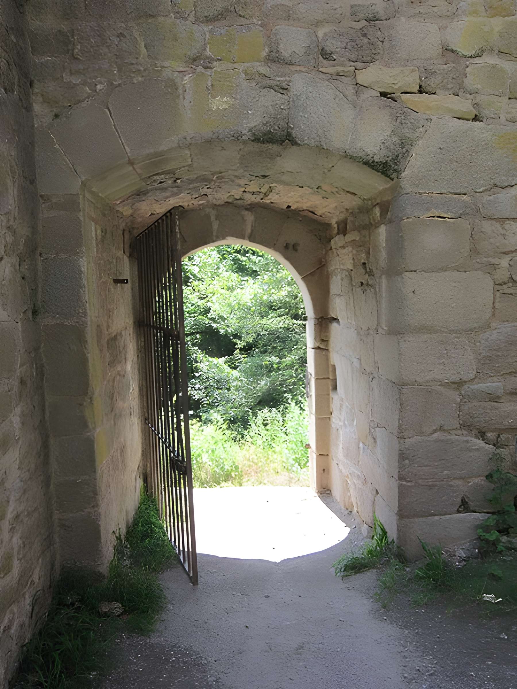 Ruines du château de Hagueneck