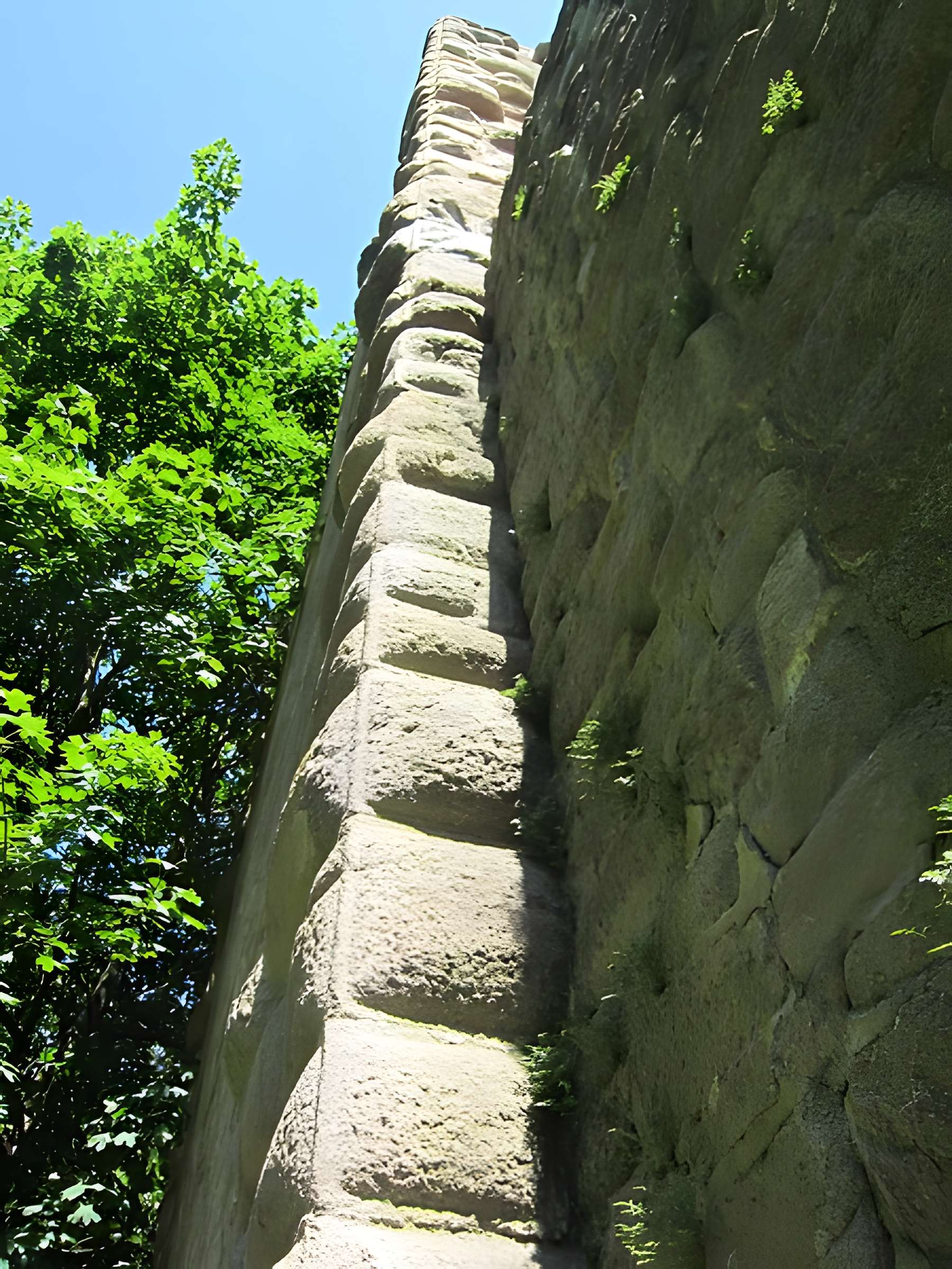 Ruines du château de Hagueneck