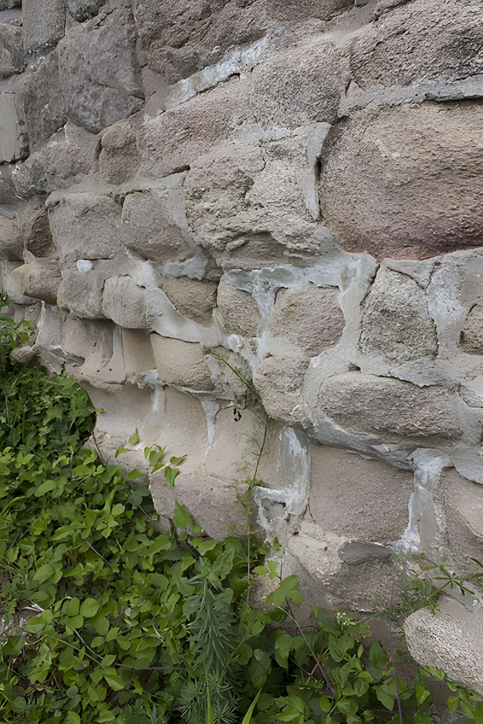 Ruines du château de Hagueneck
