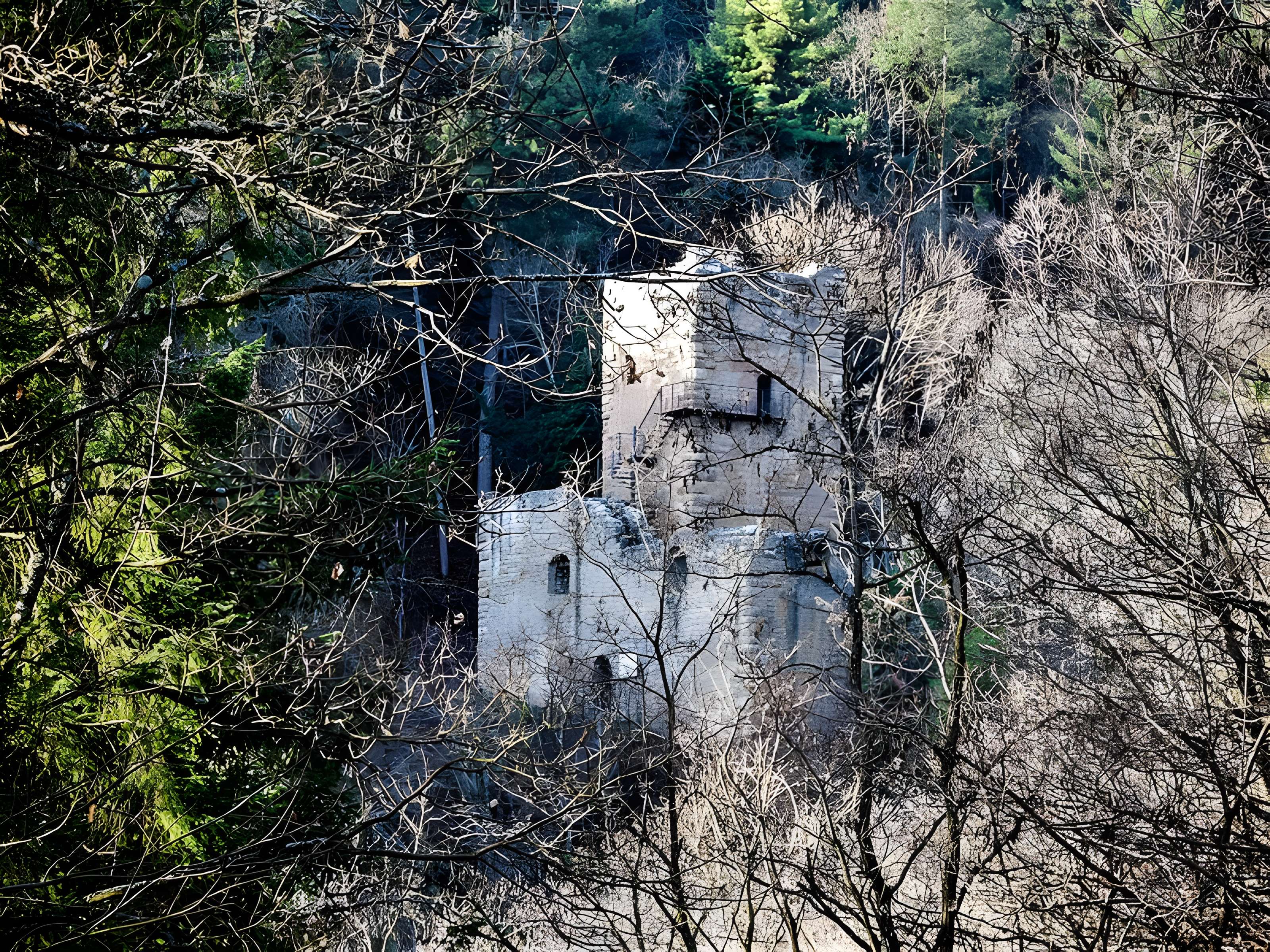 Ruines du château de Hagueneck
