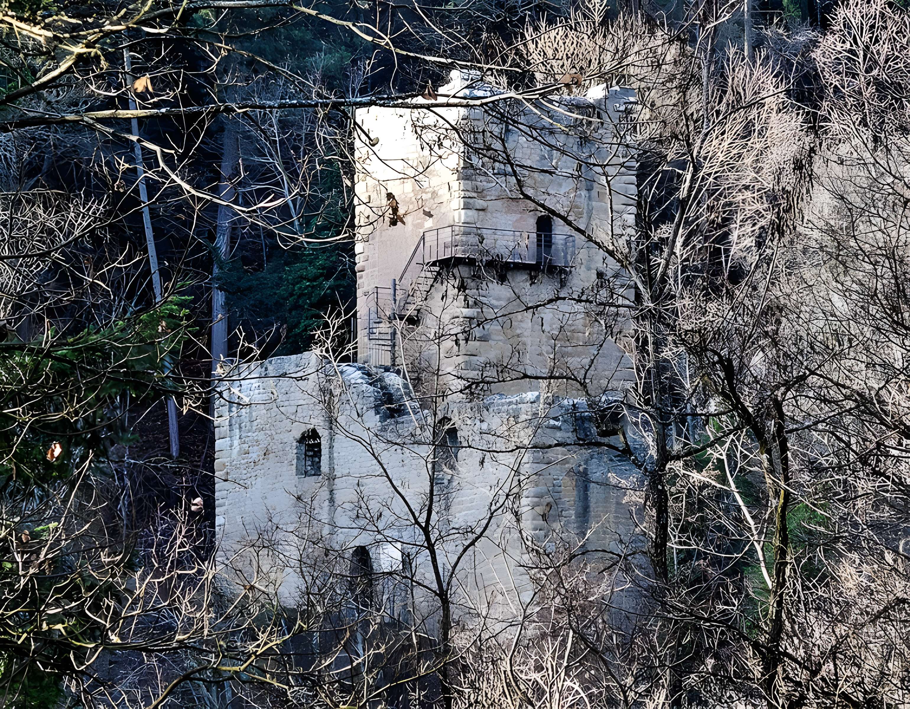 Ruines du château de Hagueneck