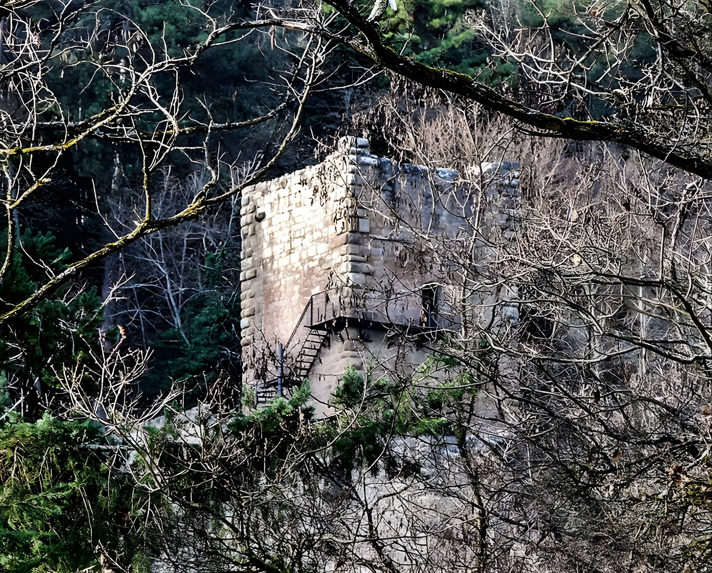 Ruines du château de Hagueneck