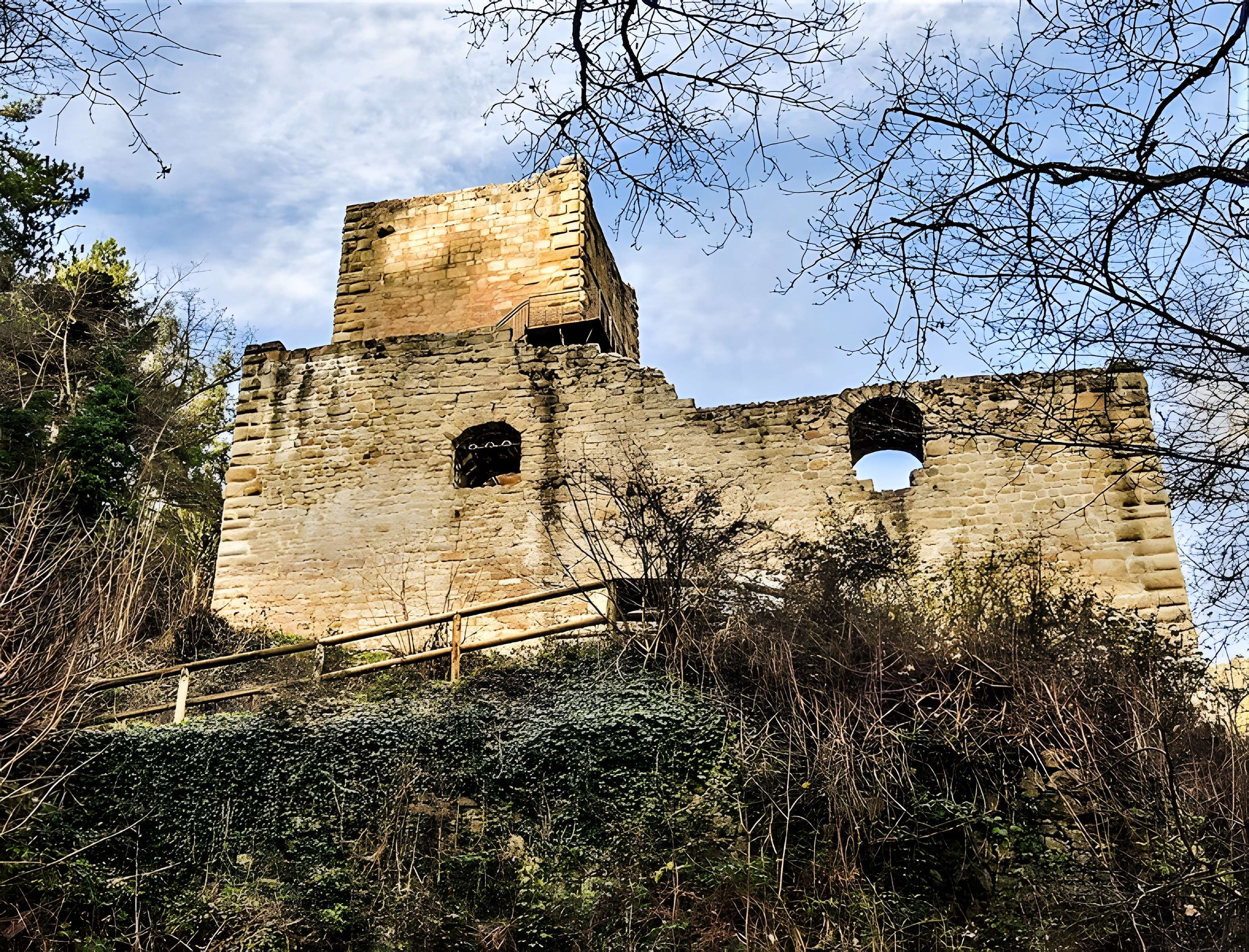 Ruines du château de Hagueneck