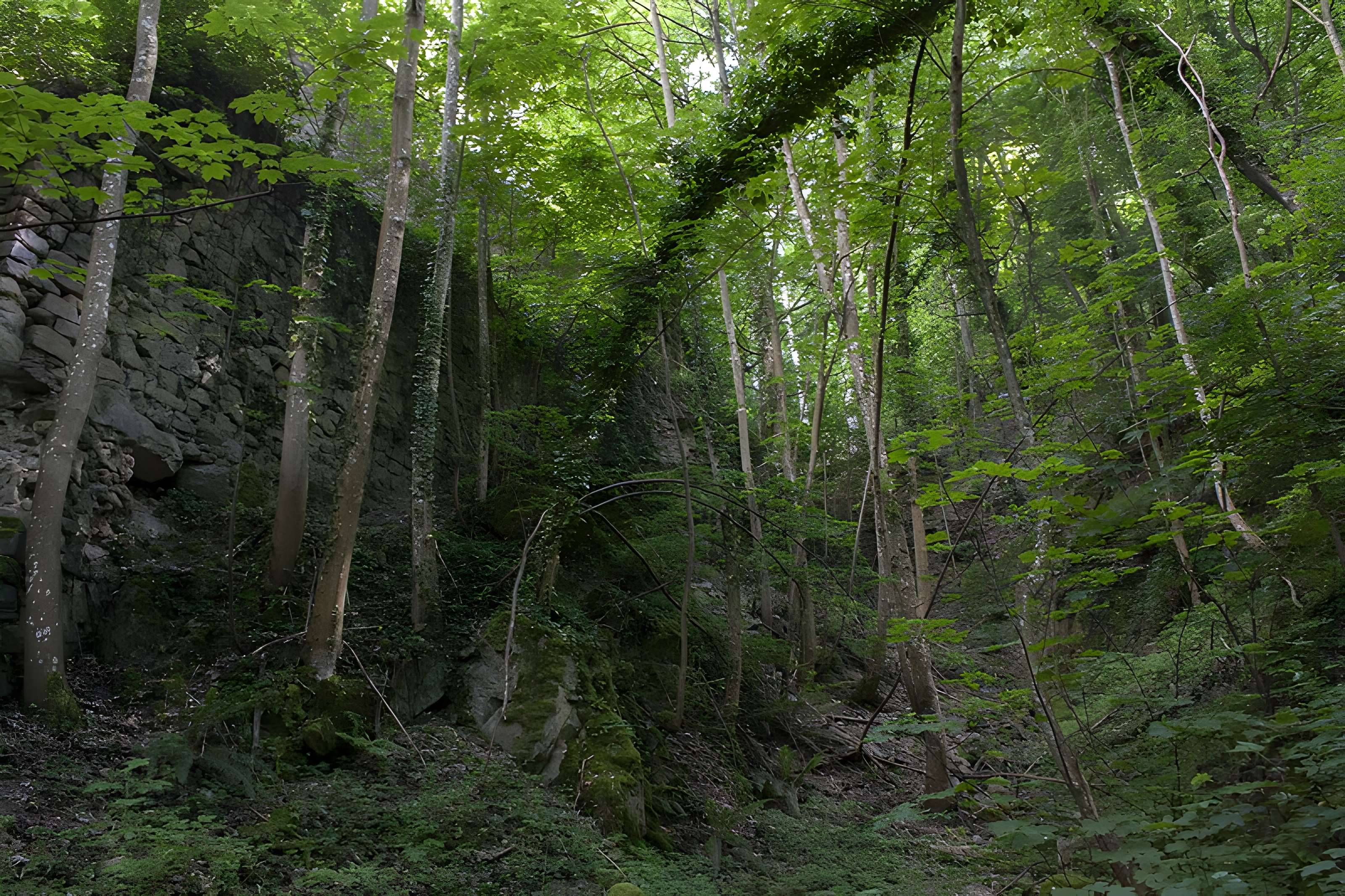 Ruines du château de Hagueneck