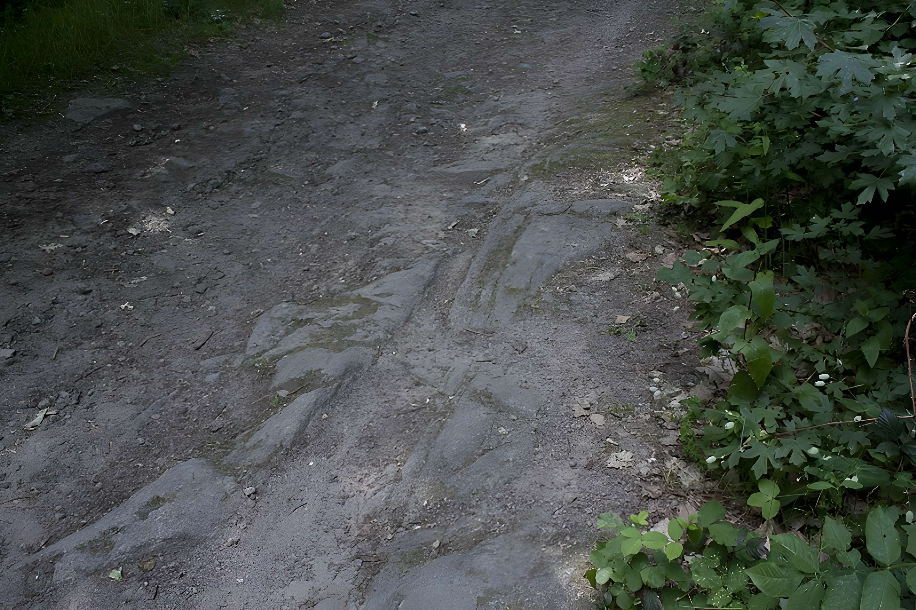 Ruines du château de Hagueneck