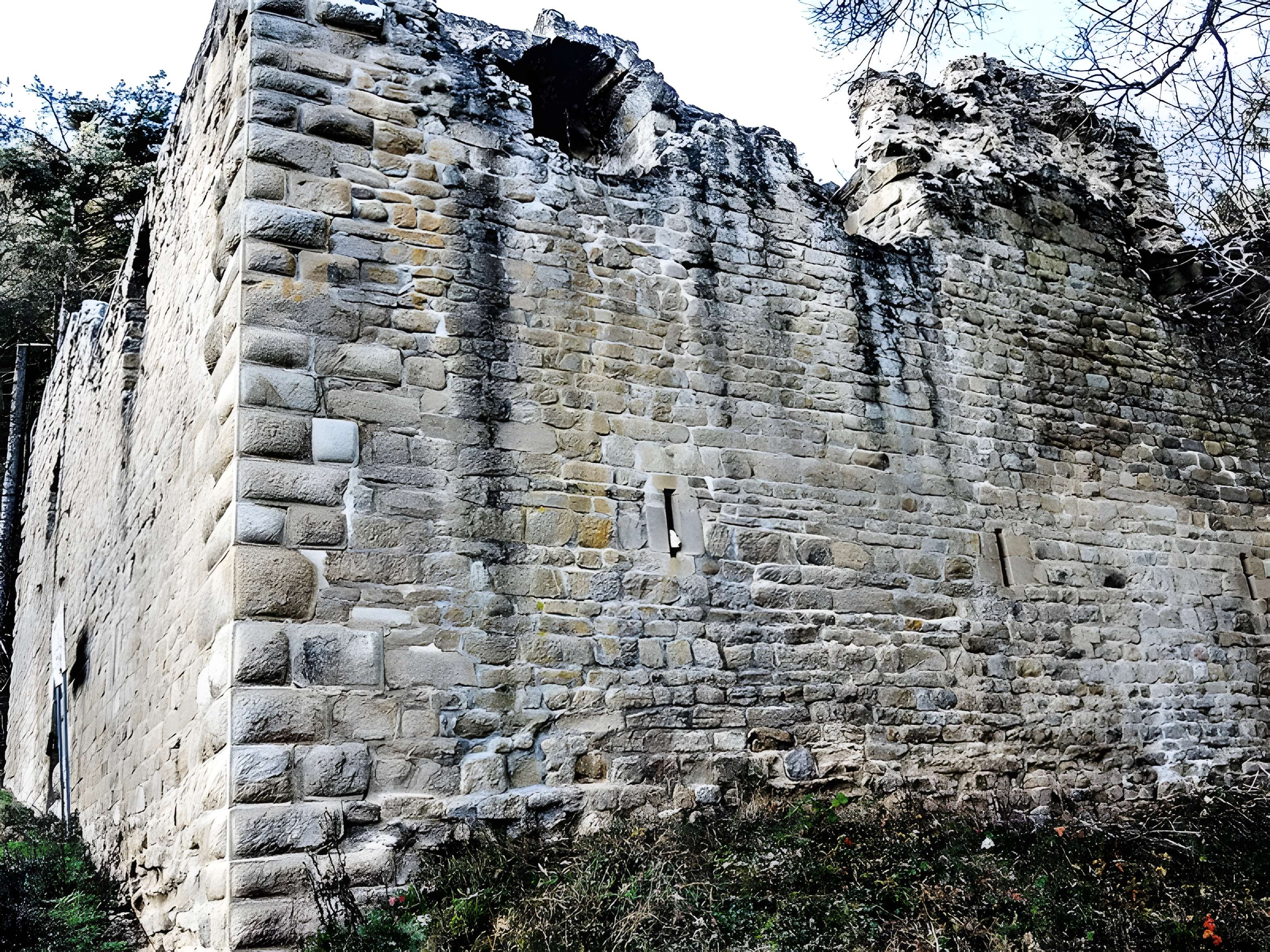 Ruines du château de Hagueneck