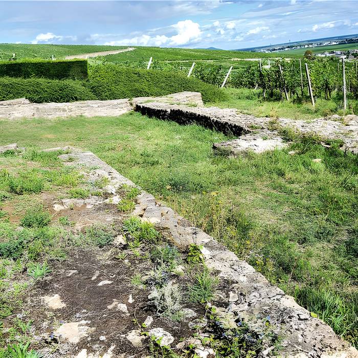 Photo de Gîte détape romain