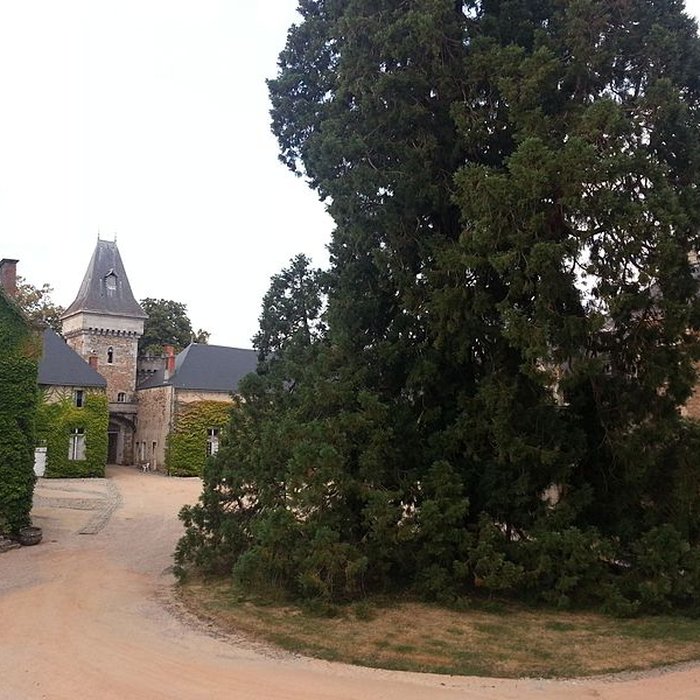 Photo de Château de Busset