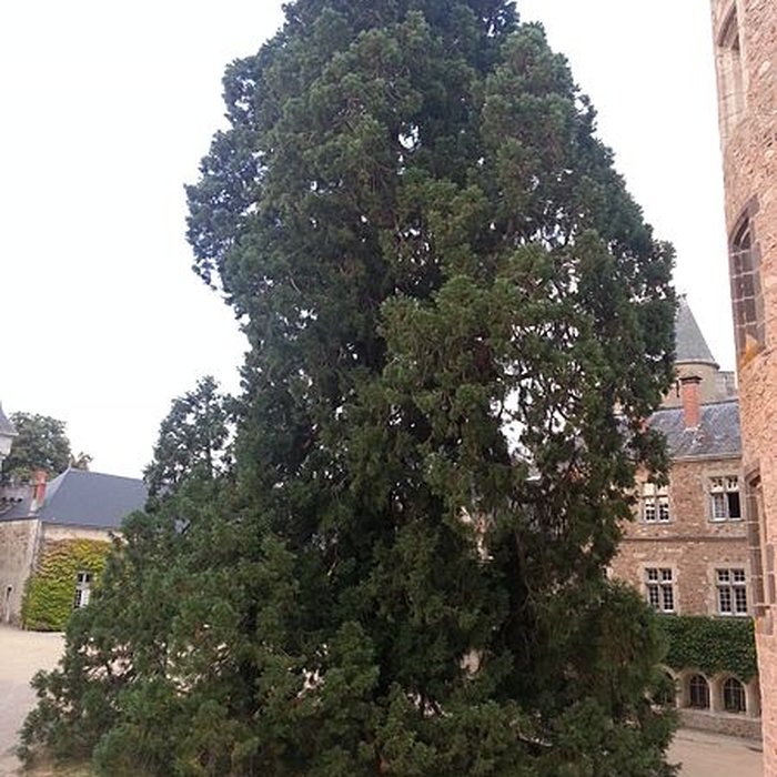Photo de Château de Busset