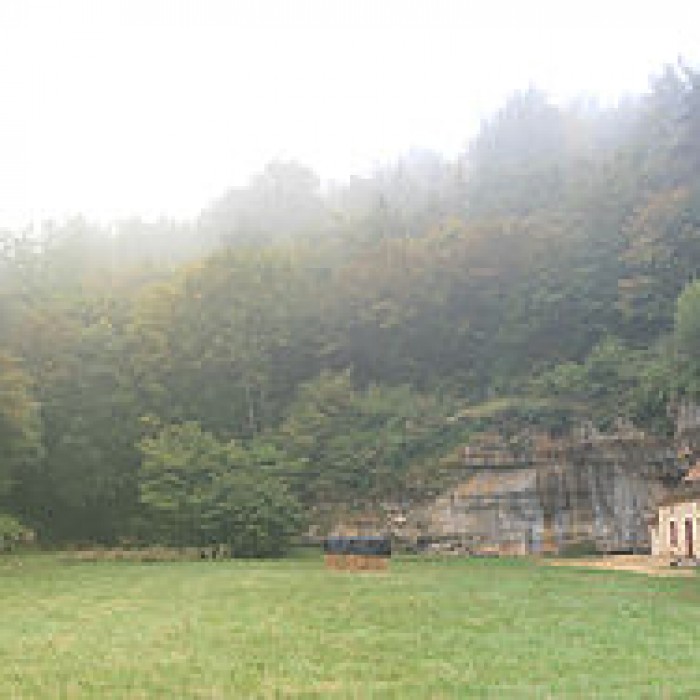 Photo de Grotte des Combarelles aux Eyzies-de-Tayac-Sireuil