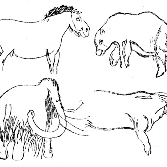 Photo de Grotte des Combarelles aux Eyzies-de-Tayac-Sireuil