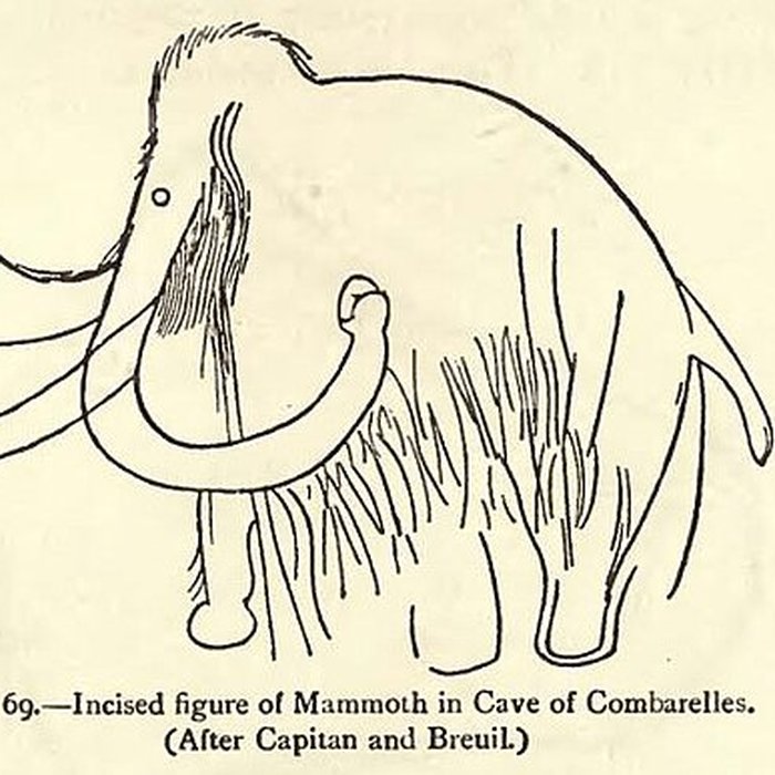 Photo de Grotte des Combarelles aux Eyzies-de-Tayac-Sireuil